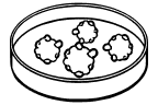 Frame 11326 1 | Gameto