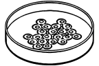 Frame 11326 | Gameto