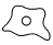 image 80 3 | Gameto