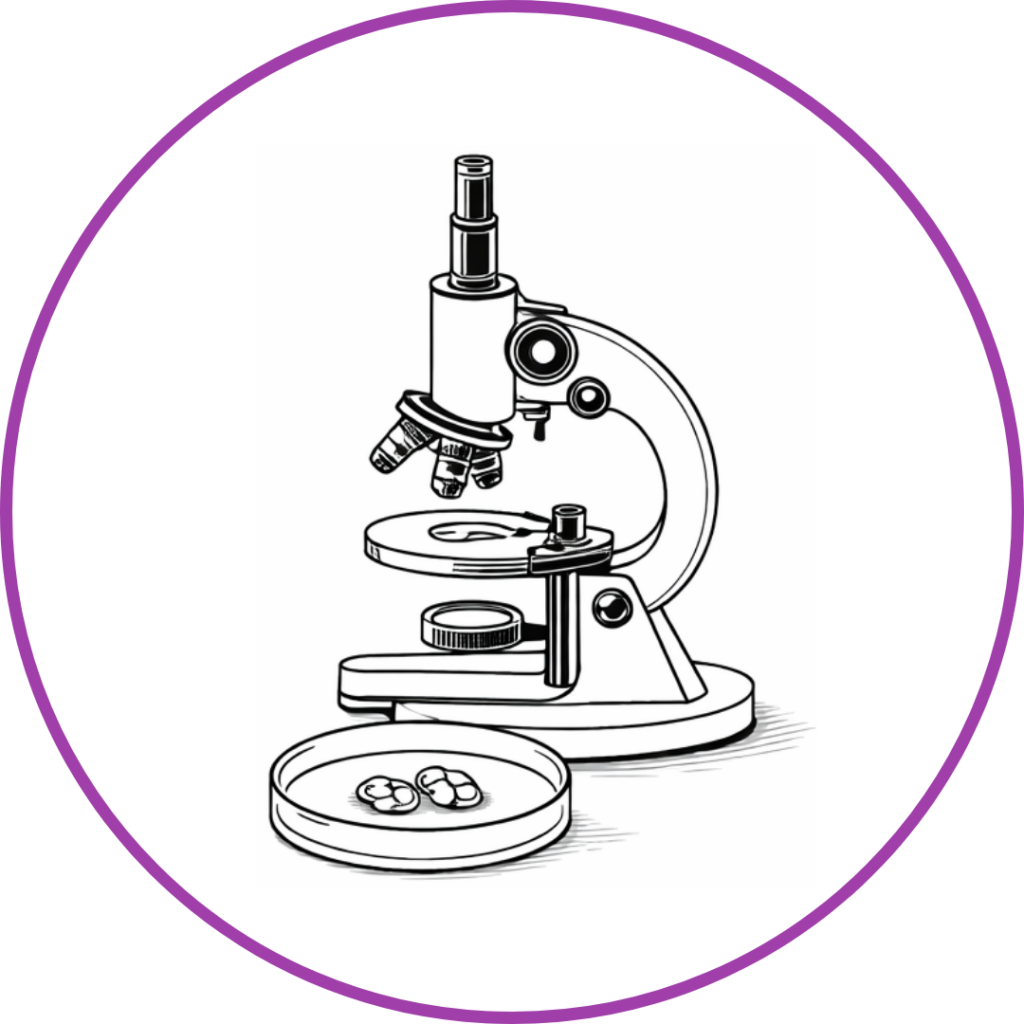 Embryo culture and monitoring in the laboratory.