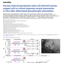 human-induced-pluripotent human-induced-pluripotent
